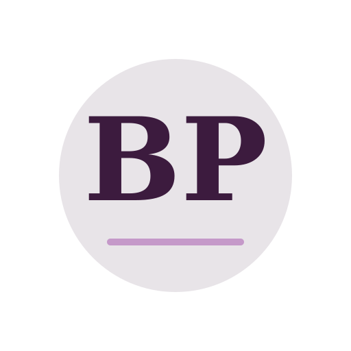 Bright Point Air Duct Services logo